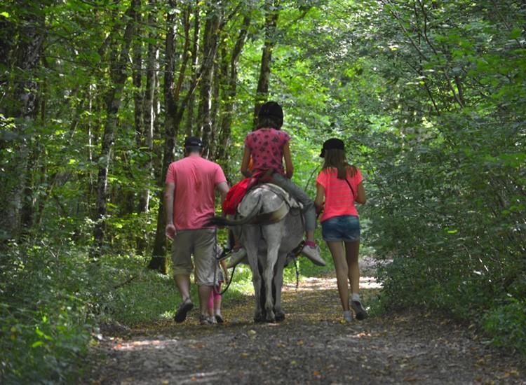 Ferme Pedagogique " L'Bout D'Chemin" Villa Genevreuille Kültér fotó