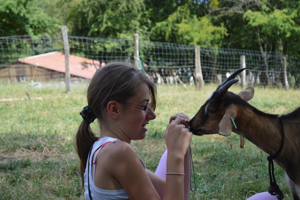 Ferme Pedagogique " L'Bout D'Chemin" Villa Genevreuille Kültér fotó